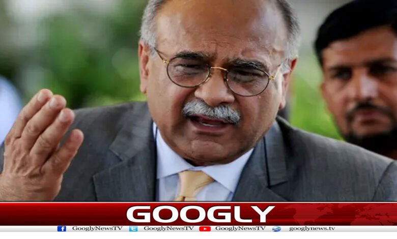 مولانا سے وعدے پورے نہ ہوئے، شکایت کرنا ان کا حق ہے: نجم سیٹھی 1 website Googly 210