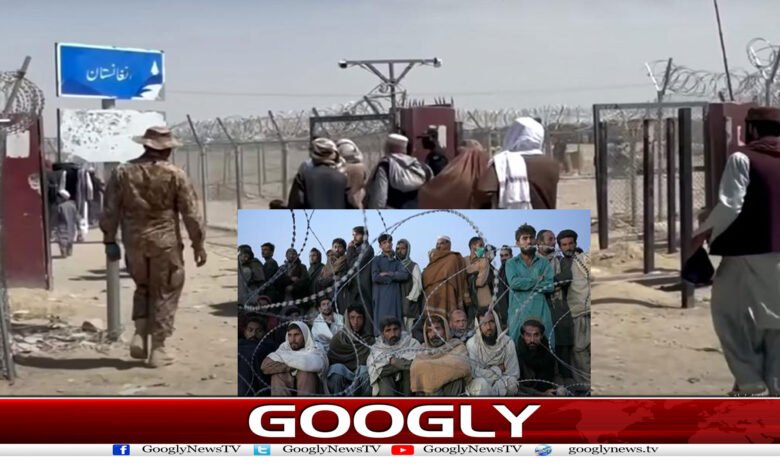 غیر قانونی مقیم افغانوں کی ملک بدری سے پاکستانی تاجر پریشان کیوں؟ 1 website Googly 218