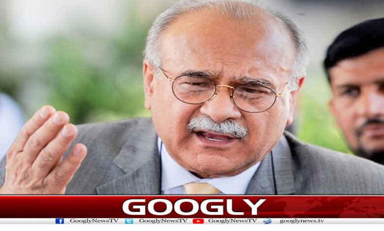 محسن نقوی وزیرِ خارجہ نہیں بن رہے،نجم سیٹھی 1 website Googly 229