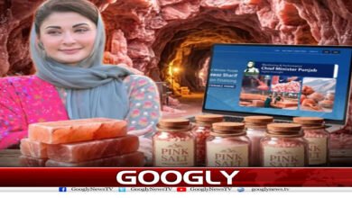 پنجاب حکومت کا نمک سے ڈالر کمانے کا منفرد منصوبہ کیا ہے؟ 5 website Googly 230