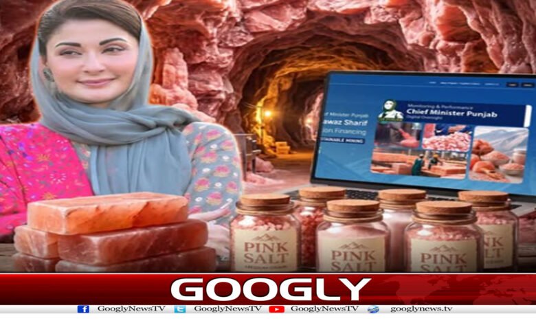 پنجاب حکومت کا نمک سے ڈالر کمانے کا منفرد منصوبہ کیا ہے؟ 1 website Googly 230
