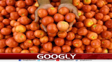 30روپے کلو بکنے والا ٹماٹر 500روپے تک کیسے پہنچ گیا؟ 5 website Googly 299
