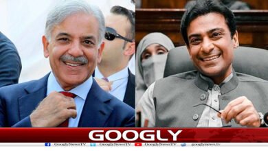 سیاسی تنہائی ختم،حمزہ کاپرائم منسٹر ہاؤس میں ڈیرے ڈالنے کا فیصلہ 5 website Googly 308