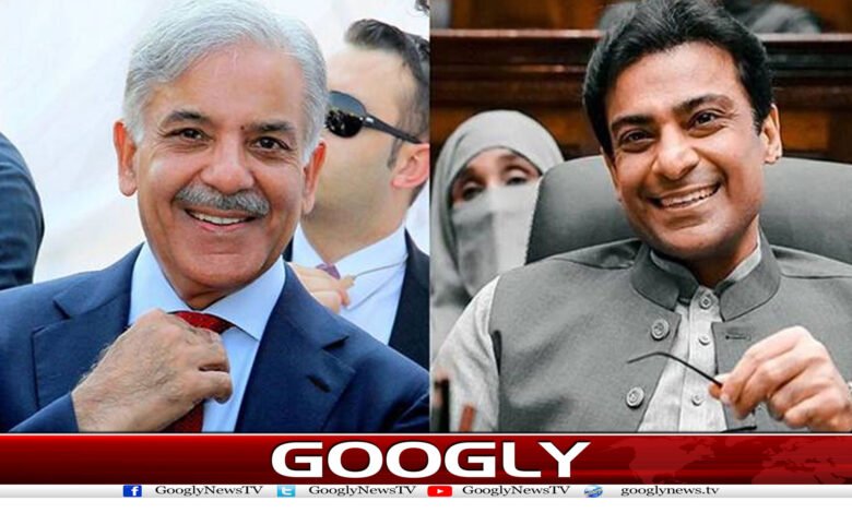 website Googly 308