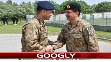 یشنل سٹریٹجک کمانڈ کے پہلے سربراہ جنرل عامر رضا کی تقرری اتنی اہم کیوں؟ 5 website Googly 319