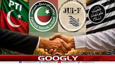 website Googly 324