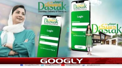 گھر بیٹھے سرکاری کام، ’مریم کی دستک‘ نے بنائے کام آسان 2 website Googly 80