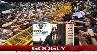 website Googly Recovered 16