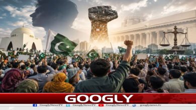 عوامی احتجاجی تحریک انقلاب کب بنتی ہے؟ حقیقت سامنے آ گئی 5 website Googly Recovered 22