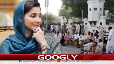 مریم نواز حکومت کی اشرافیہ پر نوازشات کی برسات، اکثریتی سرکاری ملازمین محروم 5 website Googly Recovered 23