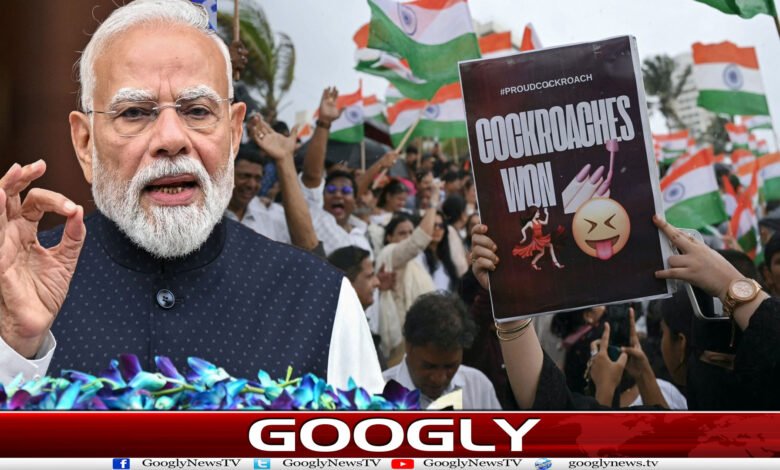 website Googly Recovered 35