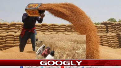 website Googly Recovered 36