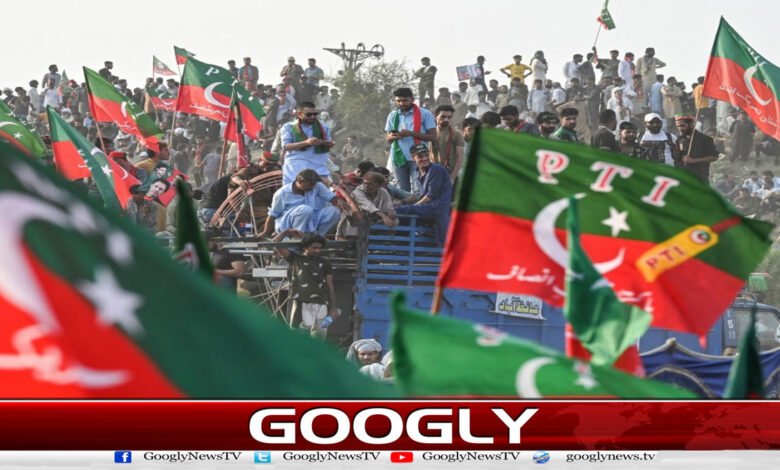 website Pic 1 copy 13