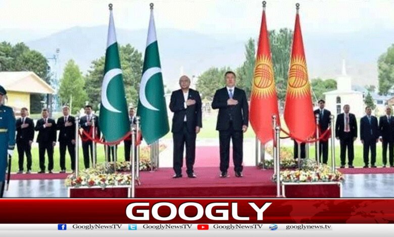 پاکستان اورکرغستان کا تجارت ،توانائی میں تعاون بڑھانے پر اتفاق 1 Pakistan and Kyrgyzstan agree to increase cooperation in trade, energy