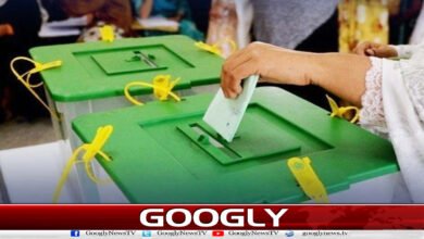 آزاد کشمیر انتخابات کا تیسرا مرحلہ: ضلع باغ اور حویلی کے 4 حلقوں میں پولنگ کا آغاز 5 Third phase of Azad Kashmir elections: Polling begins in 4 constituencies of Bagh and Haveli districts