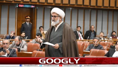 اپوزیشن بامقصد مذاکرات کےلیے تیار ، حکومت سنجیدہ نہیں: راجہ ناصر عباس 2 Opposition ready for meaningful talks, government not serious: Raja Nasir Abbas