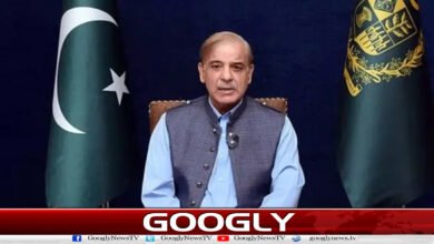 Prime Minister offers renegotiation to opposition