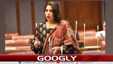 پیپلز پارٹی کا سانحۂ پمز کی تحقیقاتی رپورٹ پبلک کرنے کا مطالبہ 2 PPP demands public release of PIMS tragedy investigation report