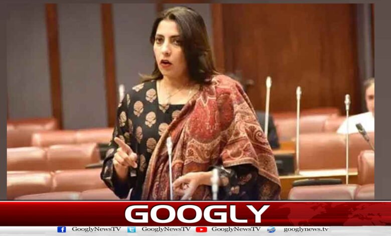 پیپلز پارٹی کا سانحۂ پمز کی تحقیقاتی رپورٹ پبلک کرنے کا مطالبہ 1 PPP demands public release of PIMS tragedy investigation report