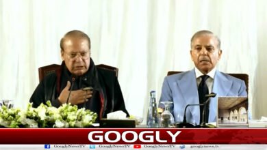 آزاد کشمیر کے عوام کی فلاح و بہبود ترجیح ہے : نواز شریف 5 Welfare of people of Azad Kashmir is priority: Nawaz Sharif