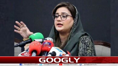 The people of Azad Kashmir voted for development: Uzma Bukhari