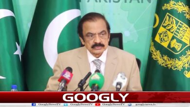 پیپلز پارٹی سے کوئی اختلاف نہیں، کچھ تحفظات پر بات چیت جاری ہے: رانا ثنا اللہ 5 No differences with PPP, talks on some reservations ongoing: Rana Sanaullah