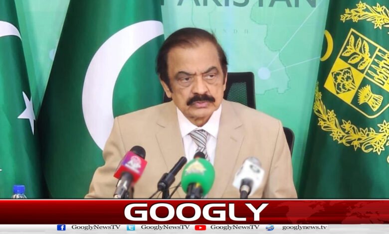 پیپلز پارٹی سے کوئی اختلاف نہیں، کچھ تحفظات پر بات چیت جاری ہے: رانا ثنا اللہ 1 No differences with PPP, talks on some reservations ongoing: Rana Sanaullah