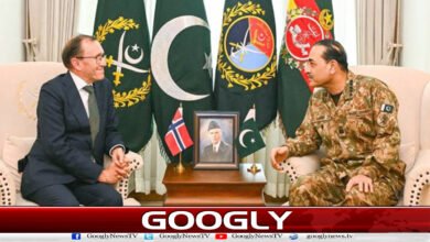 Norwegian Foreign Minister meets Field Marshal, discusses bilateral relations