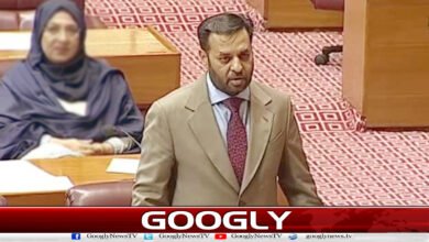I consider myself responsible for the PIMS tragedy: Federal Health Minister