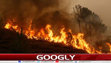 Severe heat and drought in England, wildfires wreak havoc