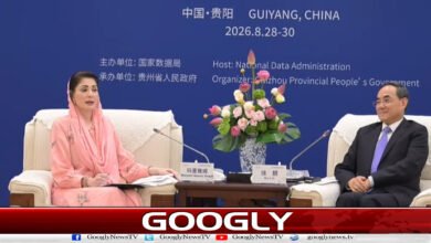 Chief Minister Maryam Nawaz invites Chinese investors to invest in Punjab