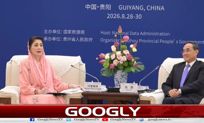 Chief Minister Maryam Nawaz invites Chinese investors to invest in Punjab