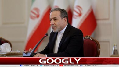 US economic pressure on Iran is 'economic terrorism': Iranian Foreign Minister