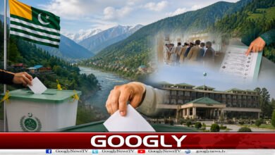Azad Kashmir Assembly: PML-N wins 6 out of 8 reserved seats