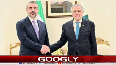 اسحاق ڈار سے شام کے وزیر خارجہ کی ملاقات، قریبی تعاون جاری رکھنے پر اتفاق 5 Syrian Foreign Minister meets Ishaq Dar, agrees to continue close cooperation