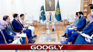 وزیراعظم کی عوام کو پٹرولیم مصنوعات کی قیمتوں پر ریلیف دینے کی ہدایت 5 Prime Minister directs public to provide relief on petroleum product prices