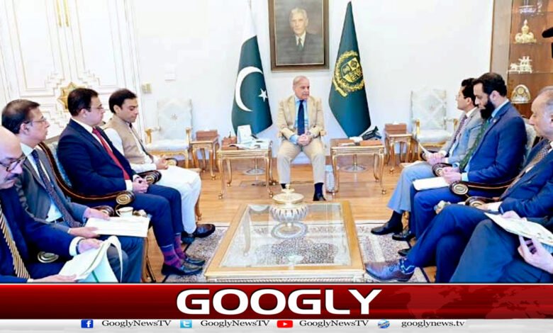 Prime Minister directs public to provide relief on petroleum product prices