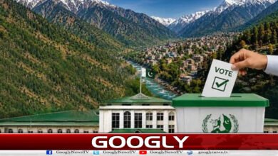 Second phase of Azad Kashmir elections, voting underway on 20 seats