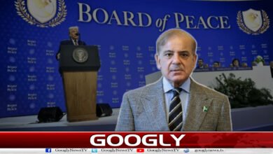 Prime Minister welcomes Gaza peace agreement