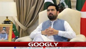 سپریم کورٹ کے فیصلے پر عمل نہ ہوا تو فیصلہ سڑکوں پر ہوگا : سہیل آفریدی