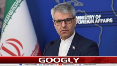 Britain, Bulgaria and Ukraine have assured not to join the war: Iran