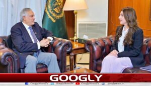 اسحاق ڈار سے امریکی ناظم الامور کی ملاقات، علاقائی صورتحال پر تبادلہ خیال