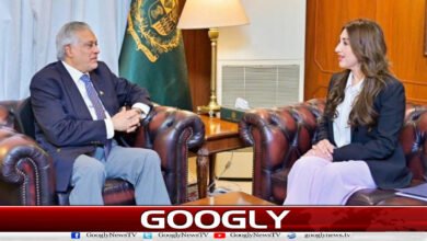 US Chargé d’Affaires meets Ishaq Dar, discusses regional situation