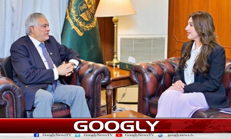US Chargé d’Affaires meets Ishaq Dar, discusses regional situation