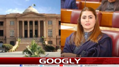 سندھ ہائی کورٹ : شازیہ مری کے خلاف جعلی ڈگری پر نااہلی کی درخواست مسترد 5 Sindh High Court: Disqualification petition against Shazia Marri for fake degree rejected