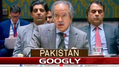 Security Council: Afghanistan has become a safe haven for terrorist groups, Pakistan