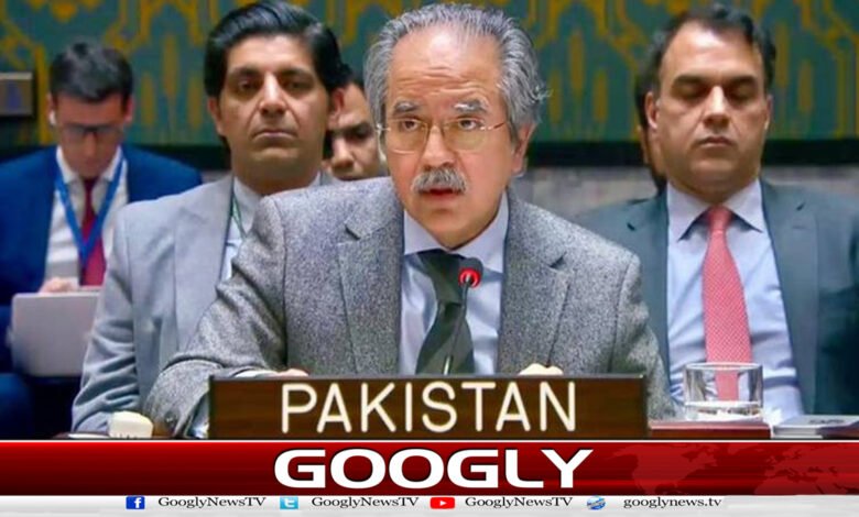 Security Council: Afghanistan has become a safe haven for terrorist groups, Pakistan