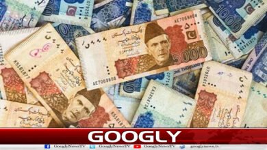 Federal government debt increases by more than Rs 18,000 billion