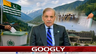 PML-N’s success in Azad Kashmir is a manifestation of public trust: Prime Minister Shehbaz Sharif