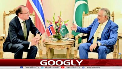 Norwegian Foreign Minister meets Ishaq Dar, discusses regional situation